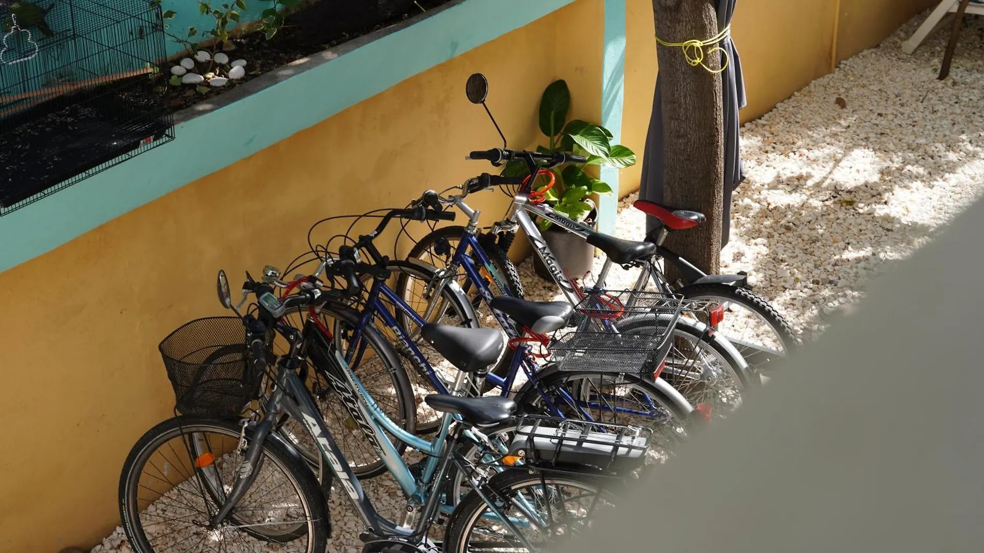 Residencia Costa Caribe Villa Santo Domingo